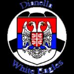 DianellaWhiteEaglesReserves